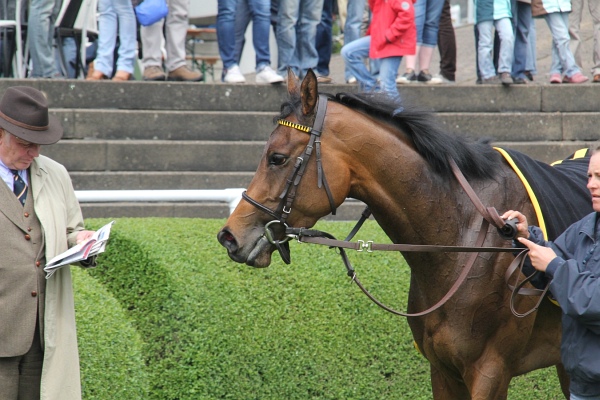 Bult VGH2011   022.jpg